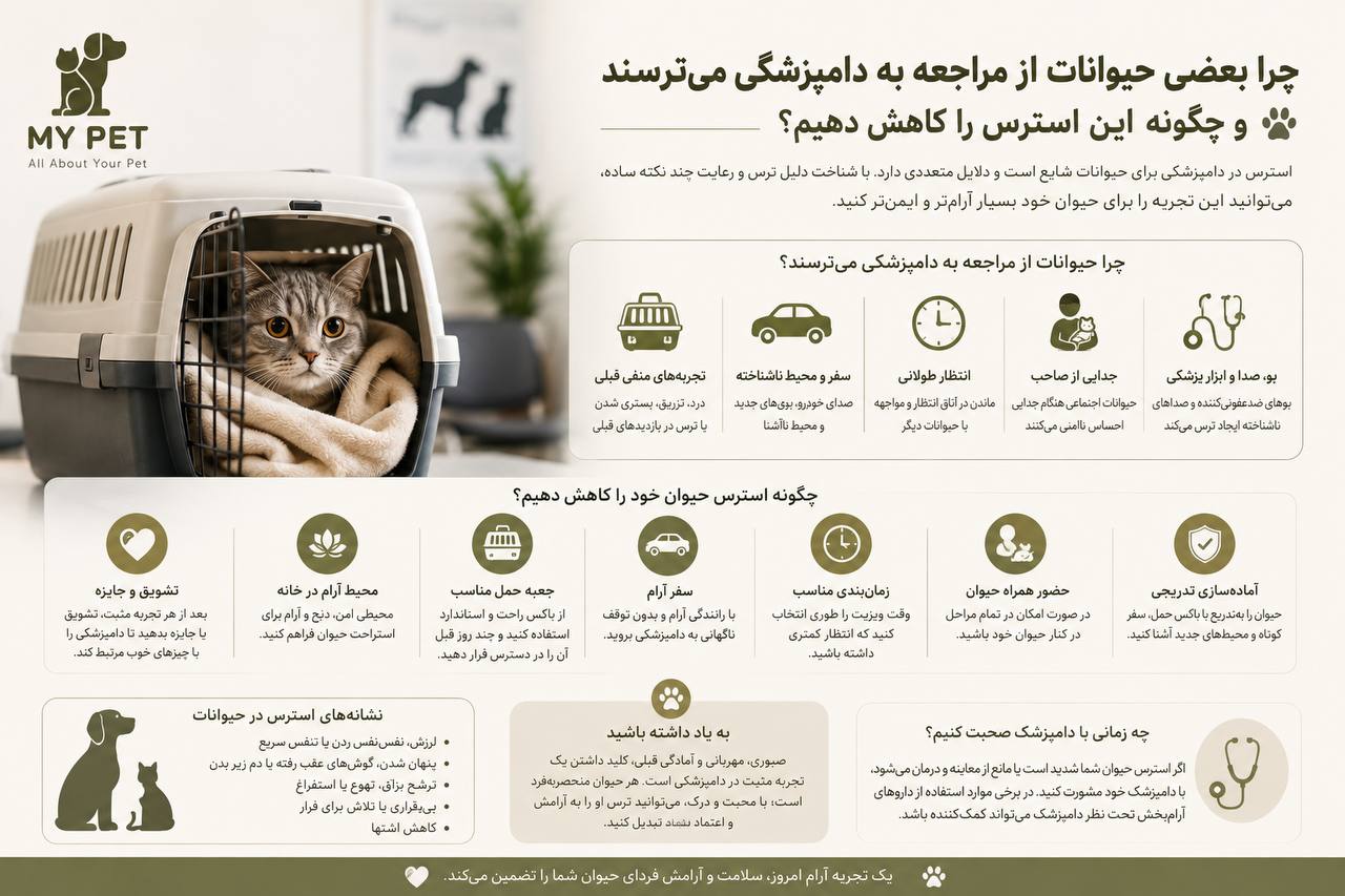 تصویری آموزشی از یک گربه مضطرب داخل باکس حمل در محیط دامپزشکی، همراه با نکات کاربردی برای کاهش استرس قبل و هنگام مراجعه؛ با تمرکز بر آماده‌سازی تدریجی، سفر آرام، تشویق و همراهی صاحب. لوگوی MY PET در گوشه بالا سمت چپ قرار دارد.